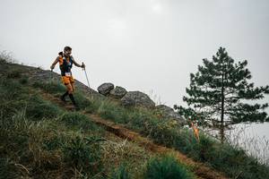 BIB: 
                            <button type="button" onclick="openModal(25996167)" class="btn btn-primary btn-sm float-right btn-popup" data-toggle="modal" data-target=".modal-high-quality">
                        <i class="fas fa-shopping-cart"></i> Add to Cart
                    </button>
                                            <button type="button" onclick="isThisMe(25996167, true)" class="btn btn-success btn-sm float-right btn-popup btn-isme hidden" data-toggle="tooltip" data-placement="bottom" title="นี่คือรูปของคุณใช่ไหม คลิกที่นี่เพื่อเอาเข้าอัลบั้ม">
                        <i class="fas fa-plus"></i> Add to album
                    </button>
                    <button type="button" onclick="isThisMe(25996167, false)" class="btn btn-warning btn-sm float-right btn-popup btn-isnotme hidden">
                        <i class="fas fa-ban"></i> Remove from album
                    </button>